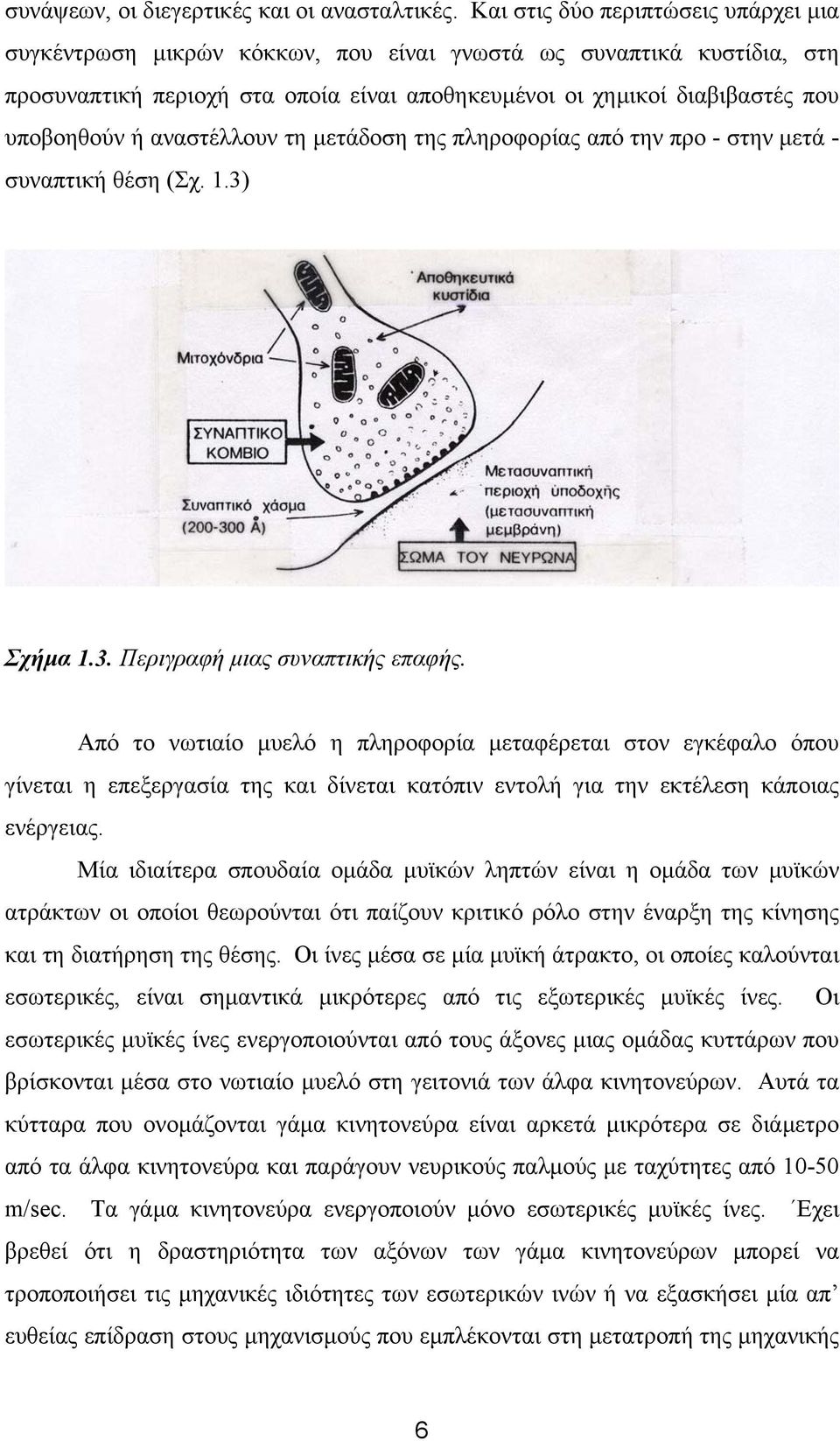 αναστέλλουν τη µετάδοση της πληροφορίας από την προ - στην µετά - συναπτική θέση (Σχ. 1.3) Σχήµα 1.3. Περιγραφή µιας συναπτικής επαφής.