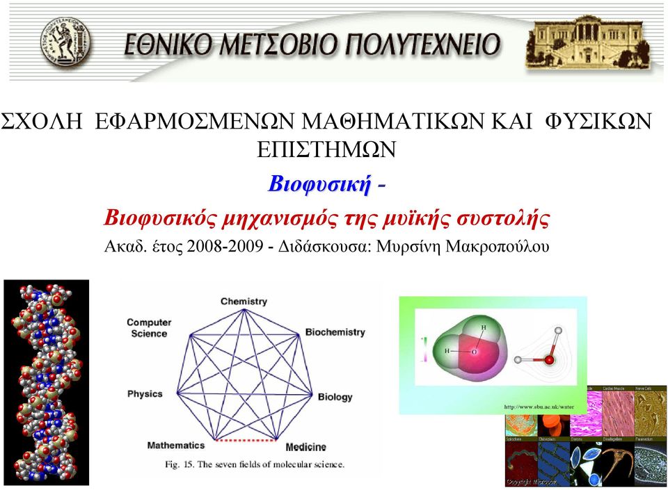 μηχανισμός της μυϊκής συστολής Ακαδ.