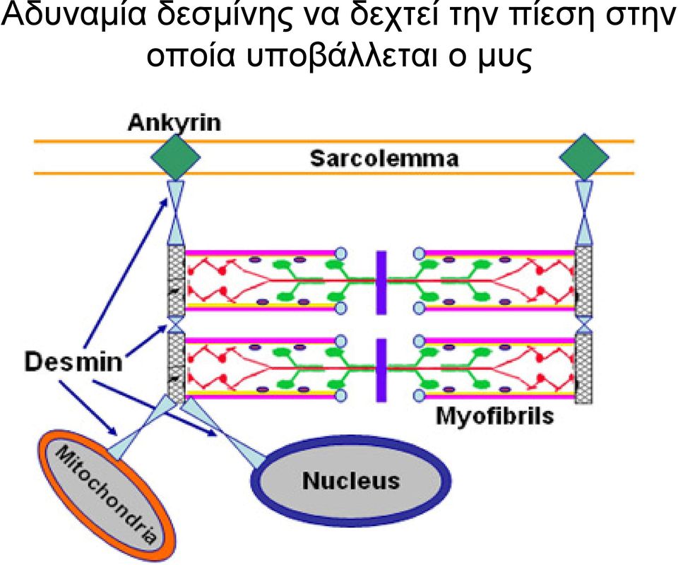 δεχτεί την πίεση