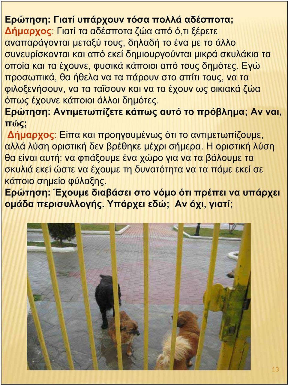 Εγώ προσωπικά, θα ήθελα να τα πάρουν στο σπίτι τους, να τα φιλοξενήσουν, να τα ταΐσουν και να τα έχουν ως οικιακά ζώα όπως έχουνε κάποιοι άλλοι δημότες.