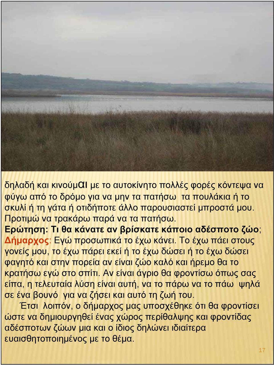 Το έχω πάει στους γονείς μου, το έχω πάρει εκεί ή το έχω δώσει ή το έχω δώσει φαγητό και στην πορεία αν είναι ζώο καλό και ήρεμο θα το κρατήσω εγώ στο σπίτι.