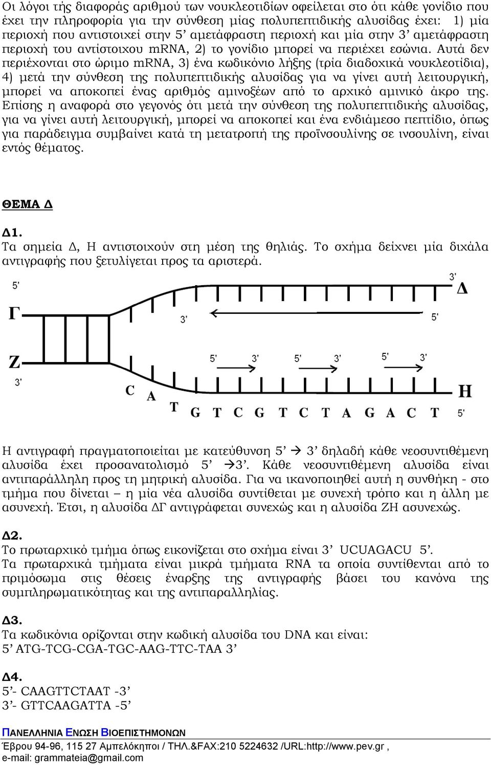 Αυτά δεν περιέχονται στο ώριμο mrna, 3) ένα κωδικόνιο λήξης (τρία διαδοχικά νουκλεοτίδια), 4) μετά την σύνθεση της πολυπεπτιδικής αλυσίδας για να γίνει αυτή λειτουργική, μπορεί να αποκοπεί ένας