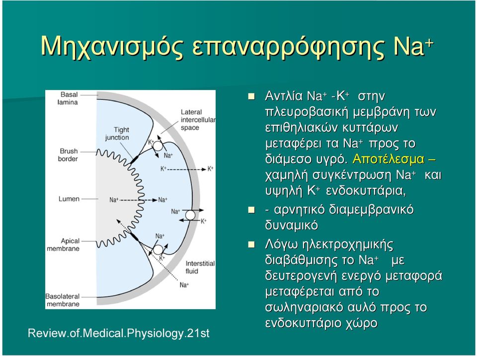 διάμεσο υγρό.