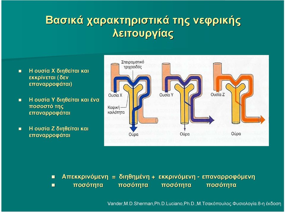 και επαναρροφάται Απεκκρινόμενη = διηθημένη + εκκρινόμενη - επαναρροφόμενη ποσότητα