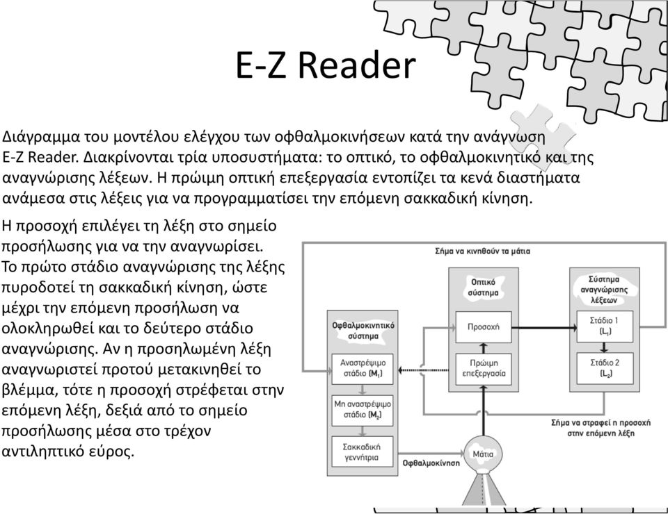 Η πρώιμη οπτική επεξεργασία εντοπίζει τα κενά διαστήματα ανάμεσα στις λέξεις για να προγραμματίσει την επόμενη σακκαδική κίνηση.