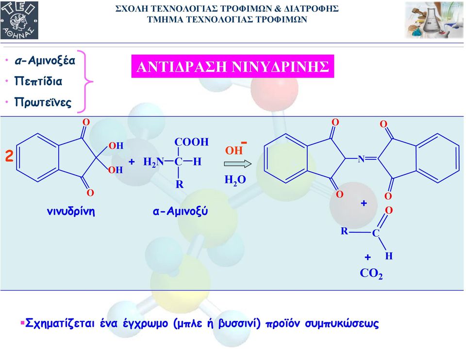 α-αµινοξύ ΟΗ - Η 2 Ο 2 Σχηµατίζεται