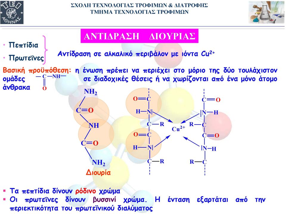 θέσεις ή να χωρίζονται από ένα µόνο άτοµο άνθρακα 2 u 2 2 ιουρία Τα πεπτίδια δίνουν ρόδινο