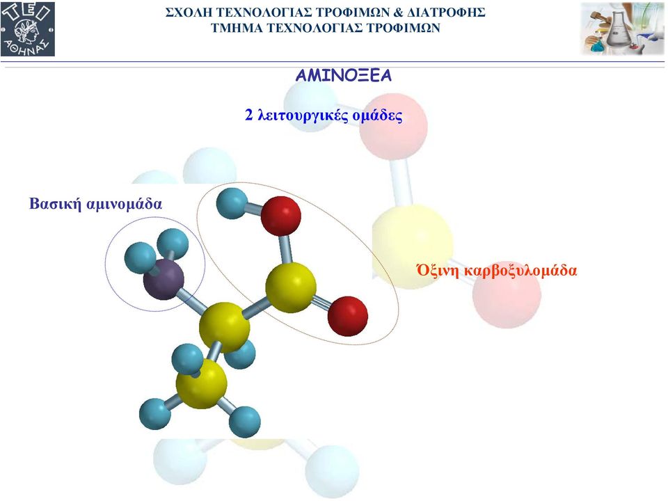 οµάδες Βασική