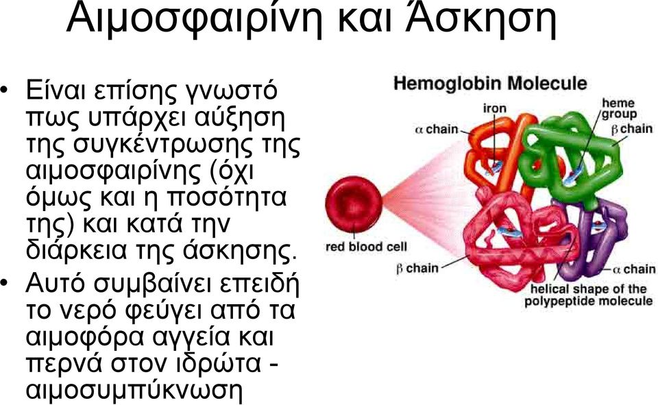 και κατά την διάρκεια της άσκησης.