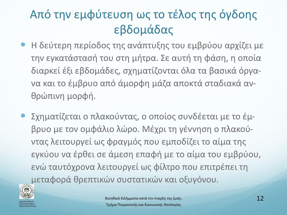 Σχηματίζεται ο πλακούντας, ο οποίος συνδέεται με το έμβρυο με τον ομφάλιο λώρο.