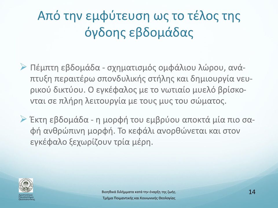 Ο εγκέφαλος με το νωτιαίο μυελό βρίσκονται σε πλήρη λειτουργία με τους μυς του σώματος.