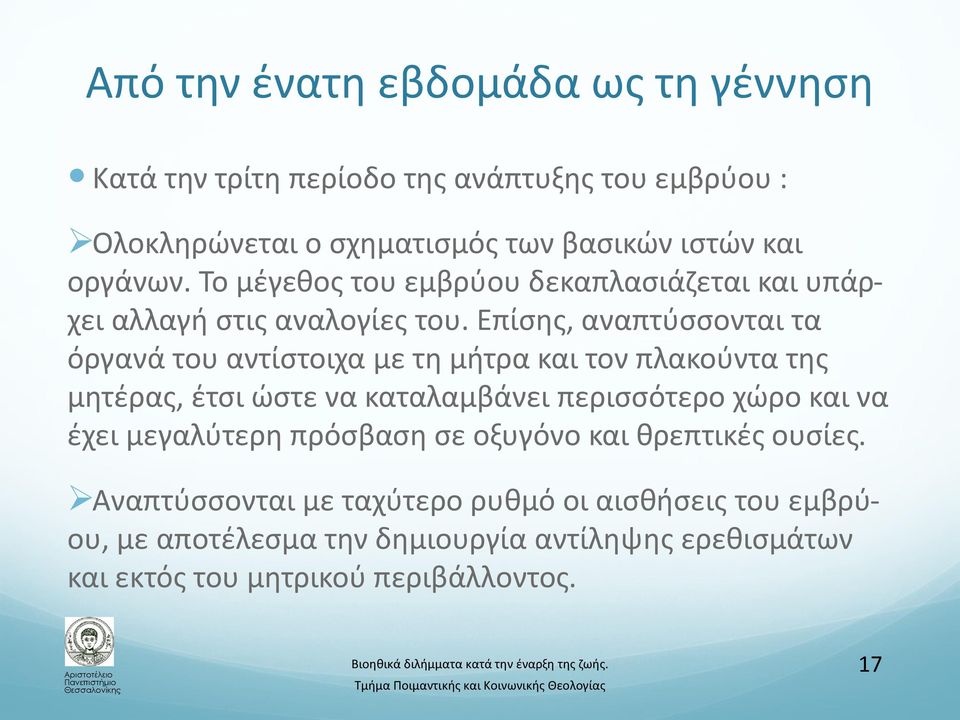Επίσης, αναπτύσσονται τα όργανά του αντίστοιχα με τη μήτρα και τον πλακούντα της μητέρας, έτσι ώστε να καταλαμβάνει περισσότερο χώρο και να