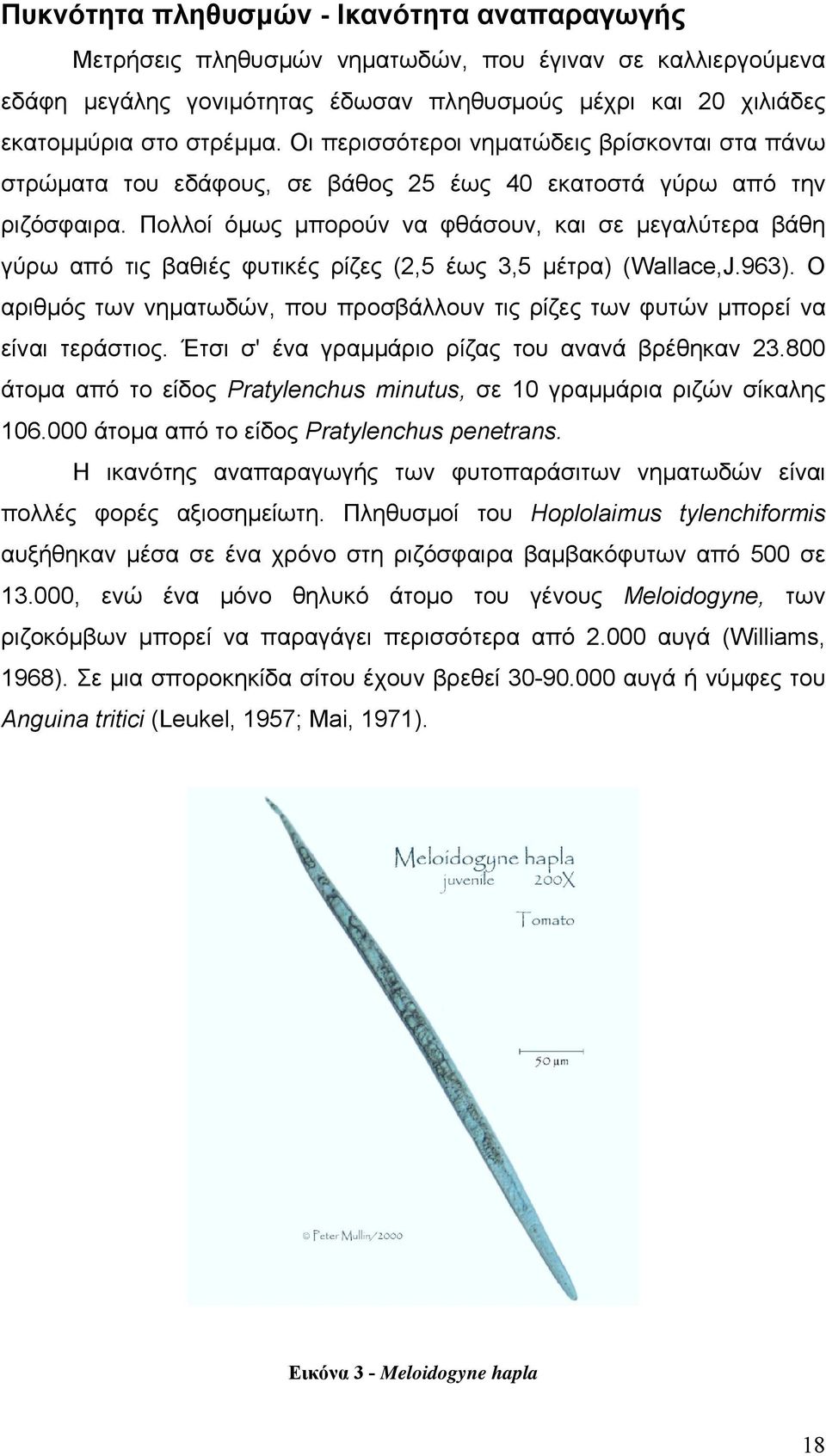 Πολλοί όμως μπορούν να φθάσουν, και σε μεγαλύτερα βάθη γύρω από τις βαθιές φυτικές ρίζες (2,5 έως 3,5 μέτρα) (Wallace,J.963).