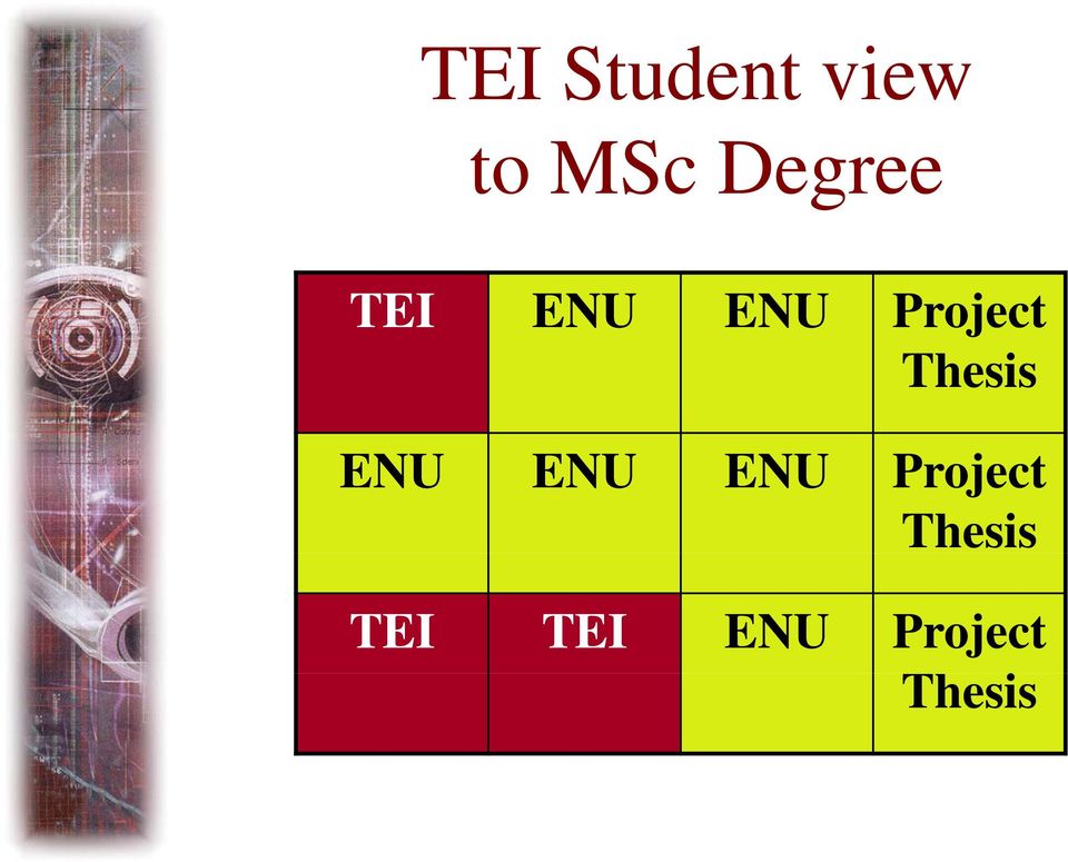 Thesis ENU ENU ENU Project