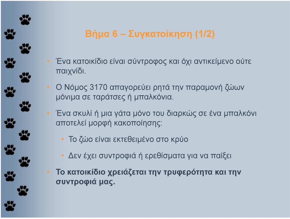 Ένα σκυλί ή µια γάτα µόνο του διαρκώς σε ένα µπαλκόνι αποτελεί µορφή κακοποίησης: Το ζώο είναι