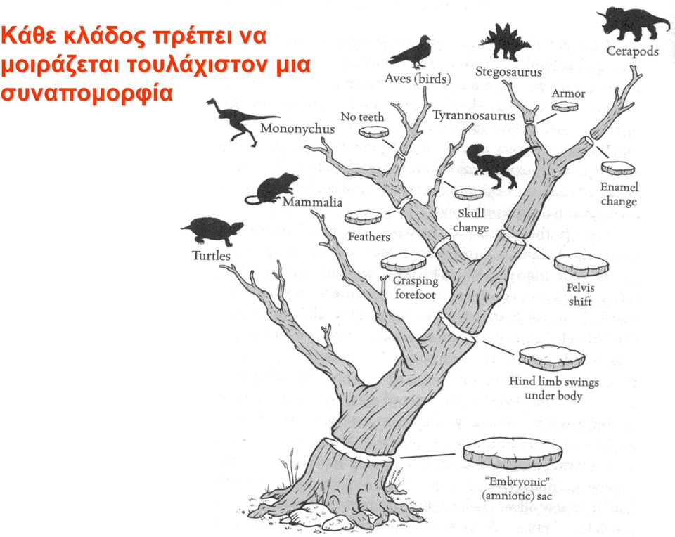 μοιράζεται