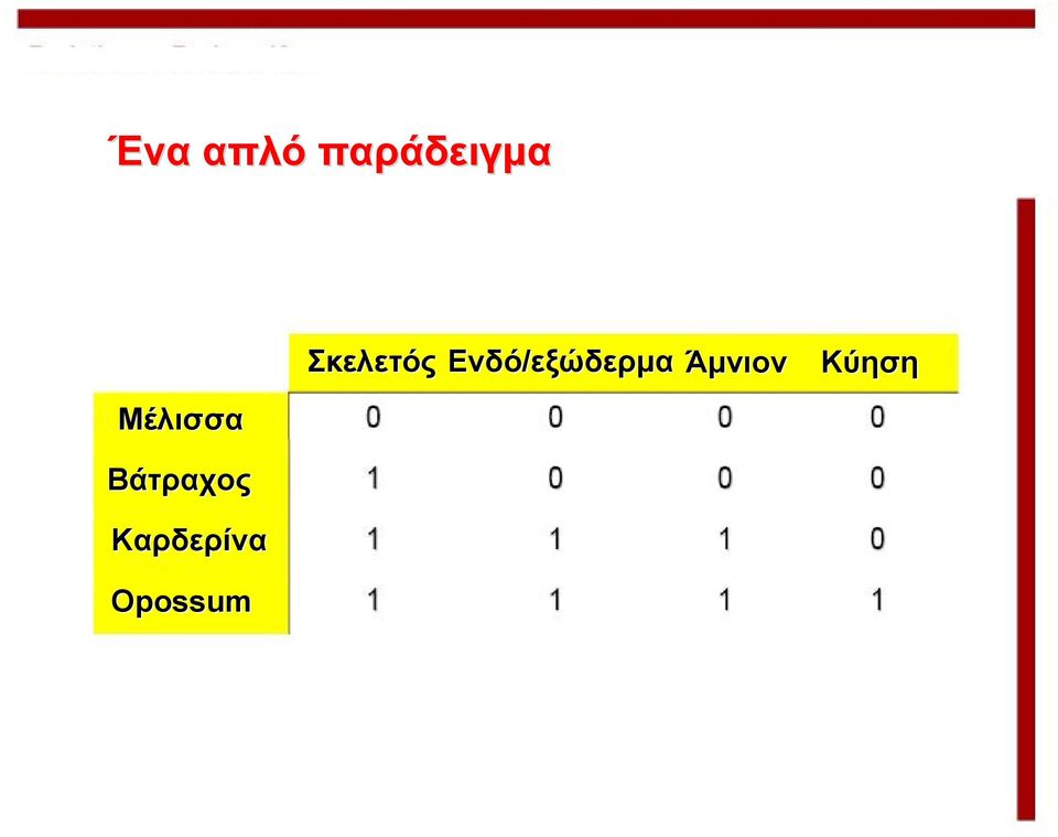 Καρδερίνα Opossum