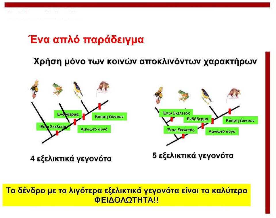 Σκελετός Αμνιωτό αυγό Κύηση ζώντων 4 εξελικτικά γεγονότα 5 εξελικτικά