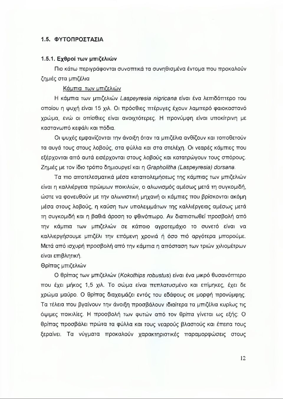 Η προνύμφη είναι υποκίτρινη με καστανωπό κεφάλι και πόδια. Οι ψυχές εμφανίζονται την άνοιξη όταν τα μπιζέλια ανθίζουν και τοποθετούν τα αυγά τους στους λοβούς, στα φύλλα και στα στελέχη.