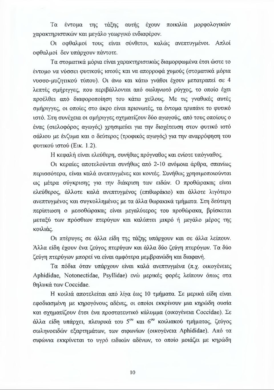 Οι άνω και κάτω γνάθοι έχουν μετατραπεί σε 4 λεπτές σμήριγγες, που περιβάλλονται από σωληνωτό ρύγχος, το οποίο έχει προέλθει από διαφοροποίηση του κάτω χείλους.