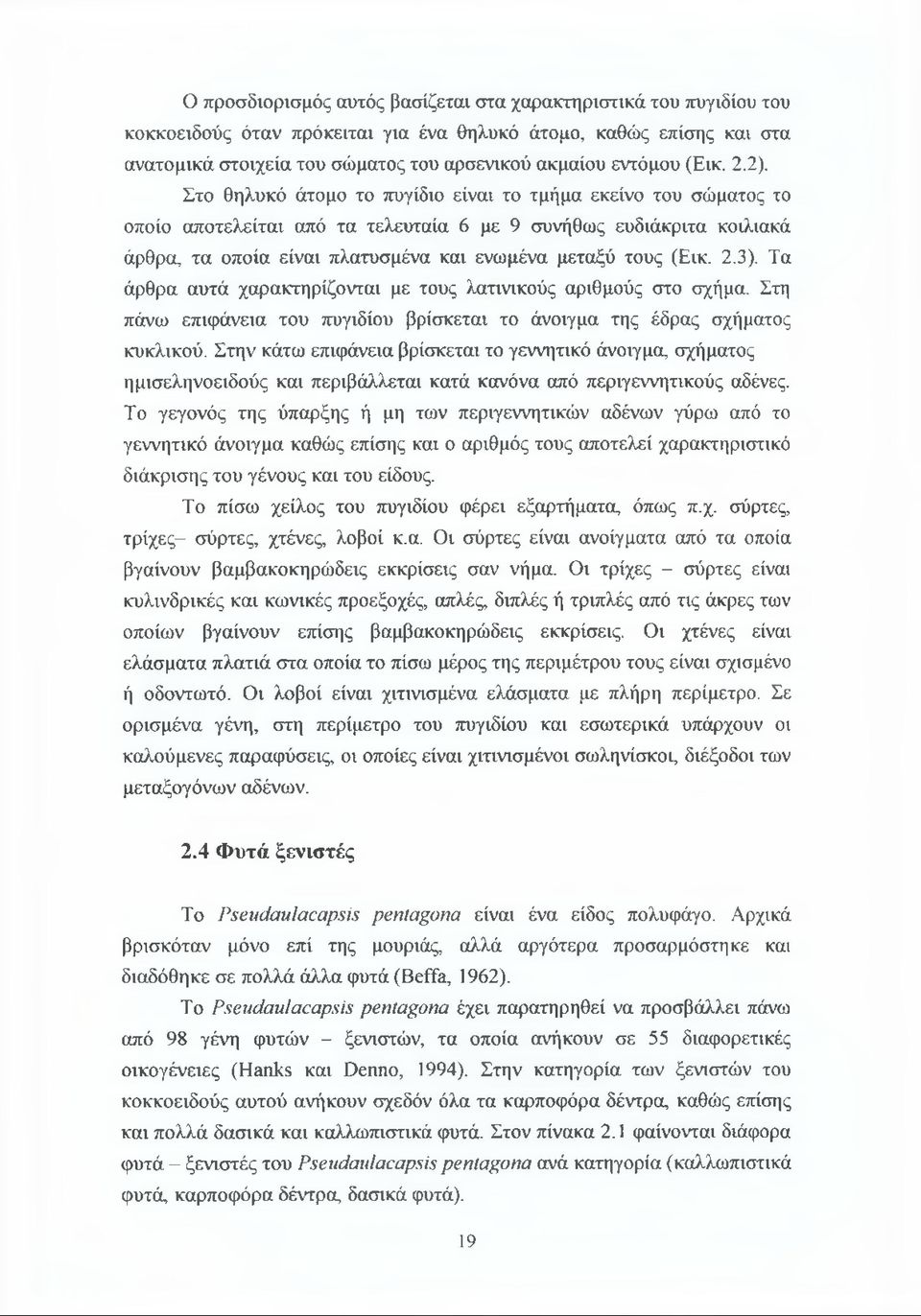 Στο θηλυκό άτομο το πυγίδιο είναι το τμήμα εκείνο του σώματος το οποίο αποτελείται από τα τελευταία 6 με 9 συνήθως ευδιάκριτα κοιλιακά άρθρα, τα οποία είναι πλατυσμένα και ενωμένα μεταξύ τους (Εικ. 2.