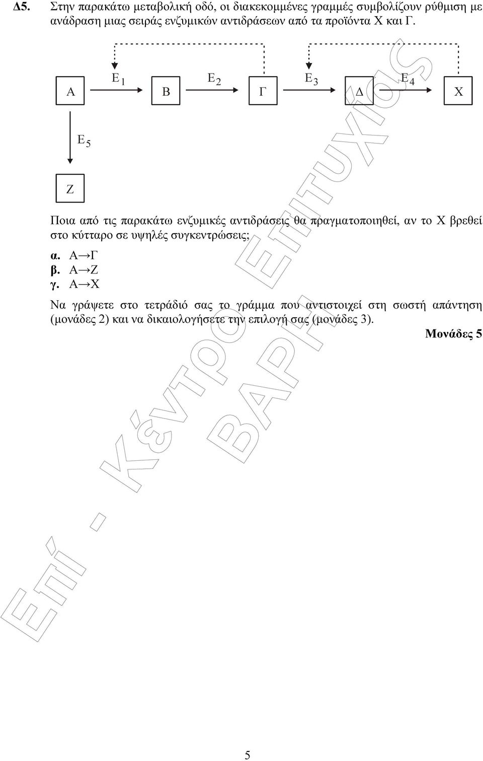 Α Ζ E 5 E 1 B E 2 Γ Ποια από τις παρακάτω ενζυµικές αντιδράσεις θα πραγµατοποιηθεί, αν το Χ βρεθεί στο κύτταρο σε