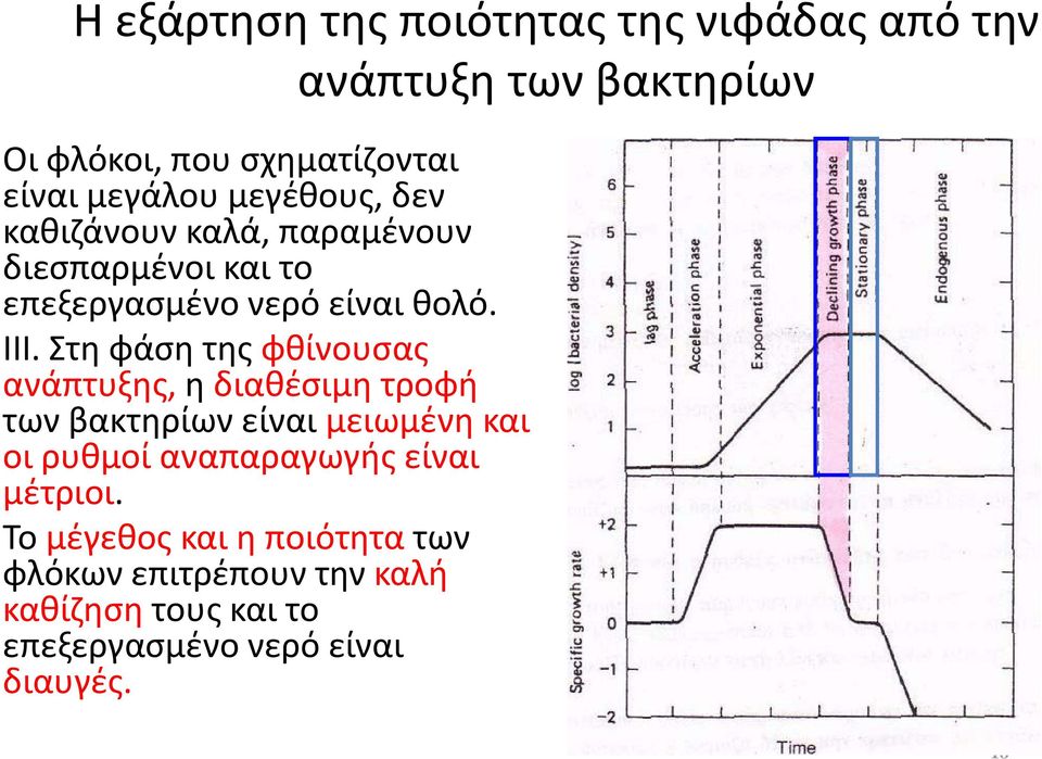 Στη φάση της φθίνουσας ανάπτυξης, η διαθέσιμη τροφή των βακτηρίων είναι μειωμένη και οι ρυθμοί αναπαραγωγής