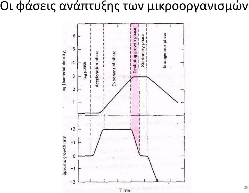 των