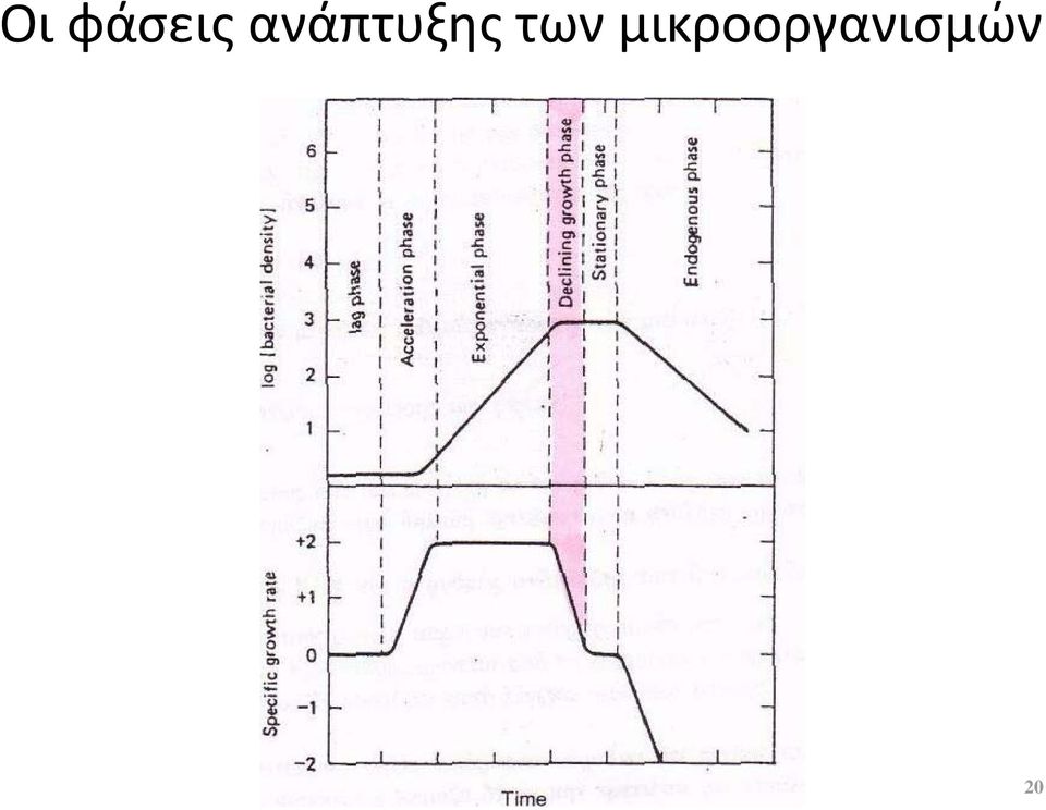 των