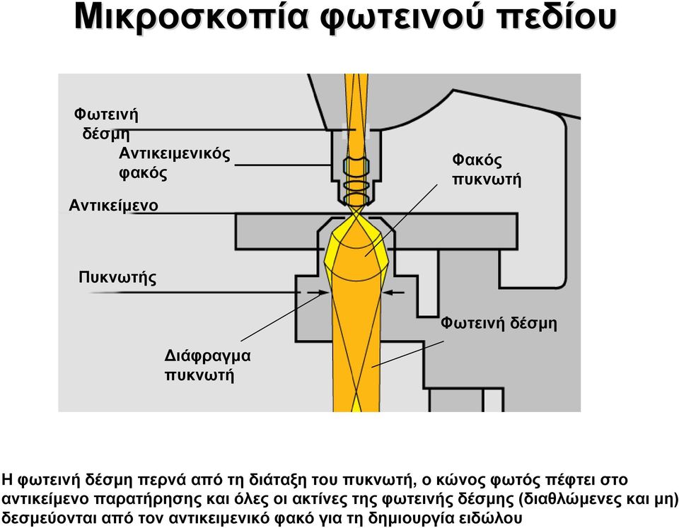 πυκνωτή, ο κώνος φωτός πέφτει στο αντικείμενο παρατήρησης και όλες οι ακτίνες της