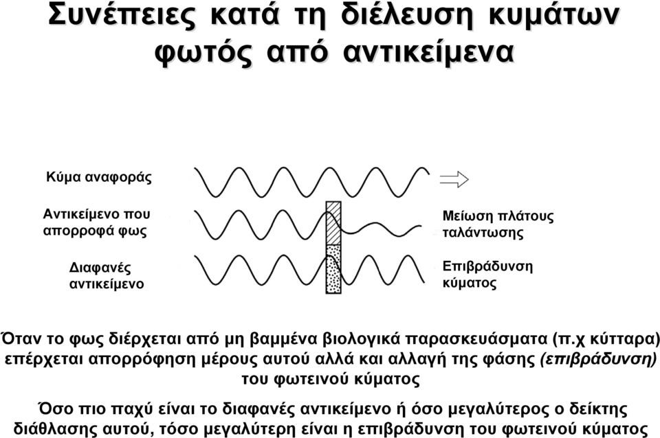 χ κύτταρα) επέρχεται απορρόφηση μέρους αυτού αλλά και αλλαγή της φάσης (επιβράδυνση) του φωτεινού κύματος Όσο πιο παχύ