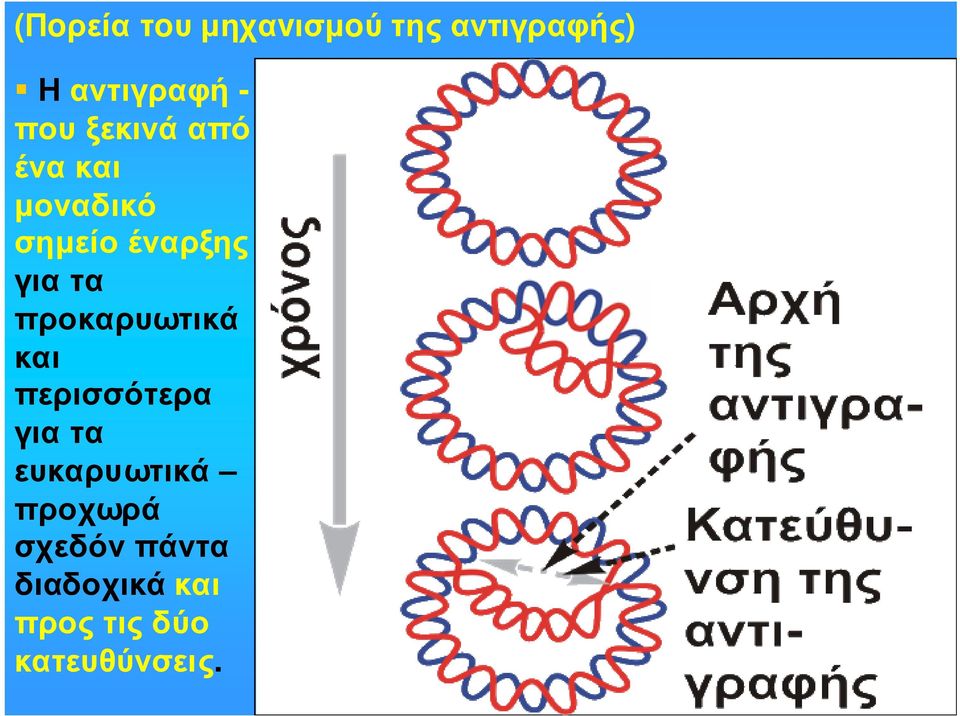 προκαρυωτικά και περισσότερα γιατα ευκαρυωτικά