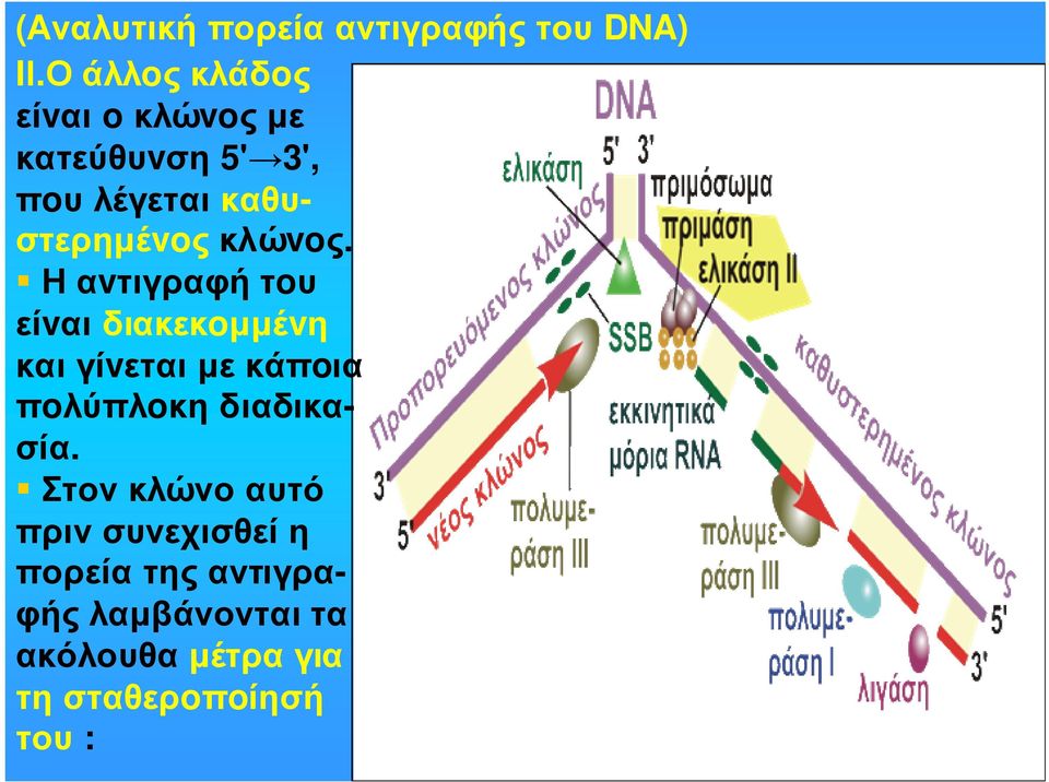 κλώvoς.