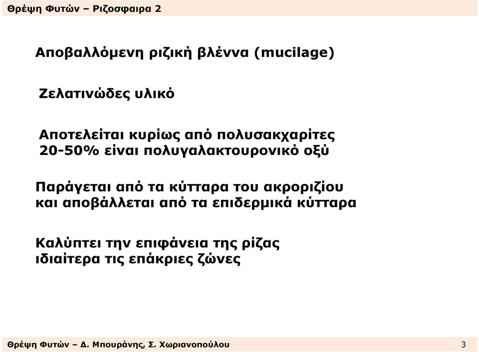 του ακροριζίου και αποβάλλεται από τα επιδερµικά κύτταρα Καλύπτει την