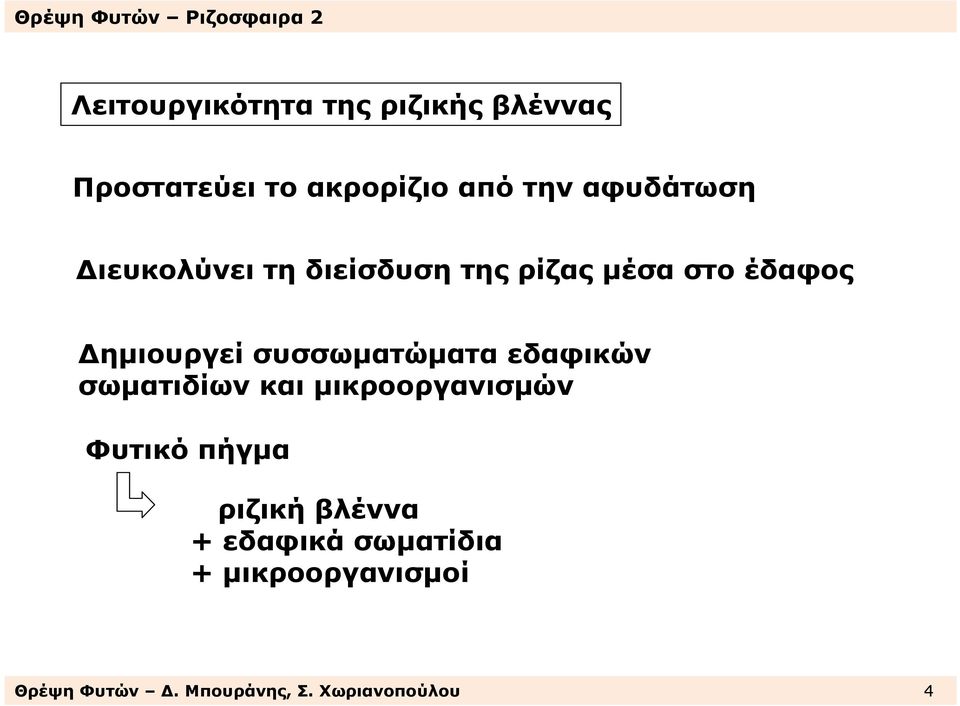 συσσωµατώµατα εδαφικών σωµατιδίων και µικροοργανισµών Φυτικό πήγµα ριζική