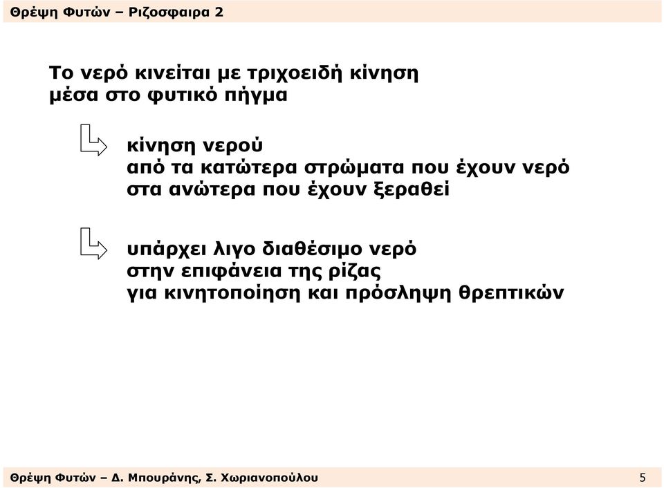 ξεραθεί υπάρχει λιγο διαθέσιµο νερό στην επιφάνεια της ρίζας για