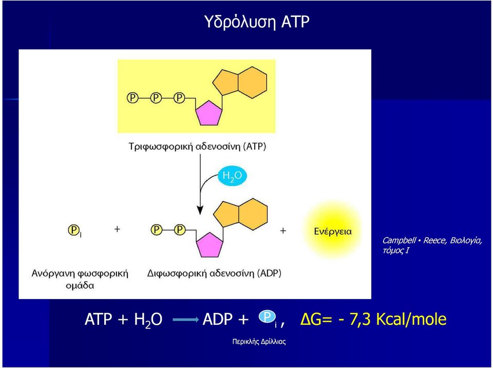 τόµος I ATP + H 2 O