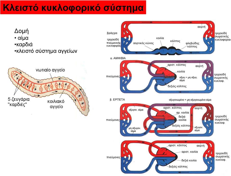 σύστημα Δομή