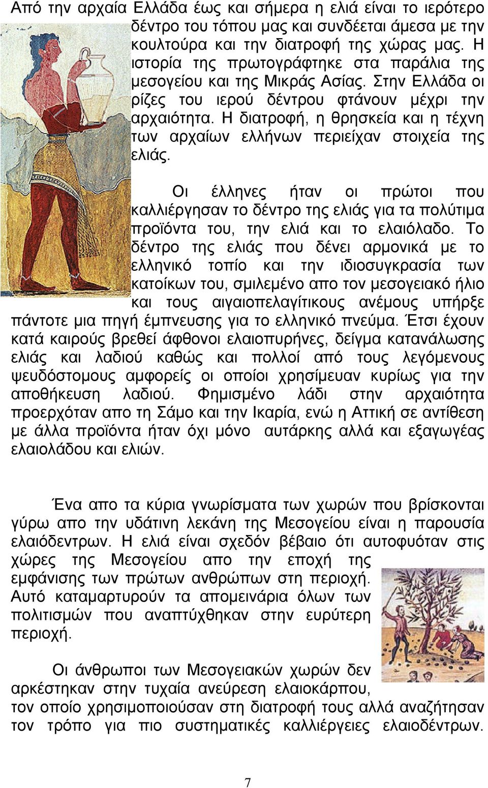 Η διατροφή, η θρησκεία και η τέχνη των αρχαίων ελλήνων περιείχαν στοιχεία της ελιάς.