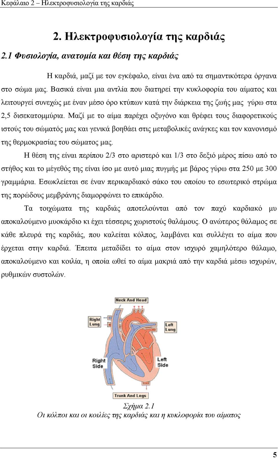 Μαζί µε το αίµα παρέχει οξυγόνο και θρέφει τους διαφορετικούς ιστούς του σώµατός µας και γενικά βοηθάει στις µεταβολικές ανάγκες και τον κανονισµό της θερµοκρασίας του σώµατος µας.