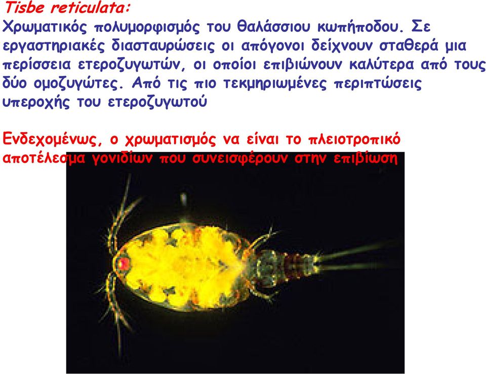 οποίοι επιβιώνουν καλύτερα από τους δύο ομοζυγώτες.