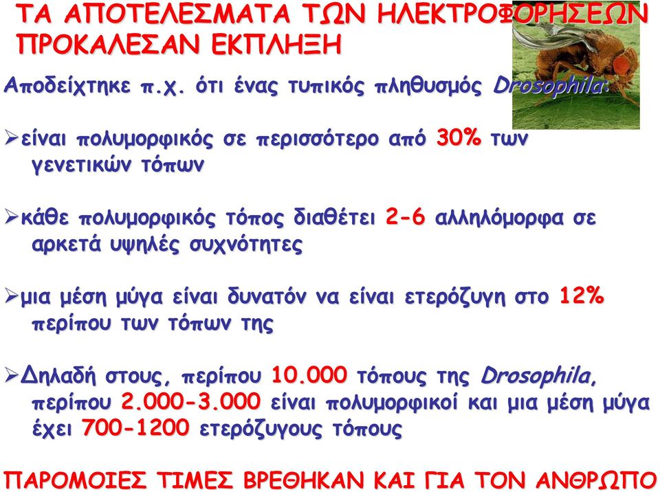 ότι ένας τυπικός πληθυσμός Drosophila: είναι πολυμορφικός σε περισσότερο από 30% των γενετικών τόπων κάθε πολυμορφικός τόπος