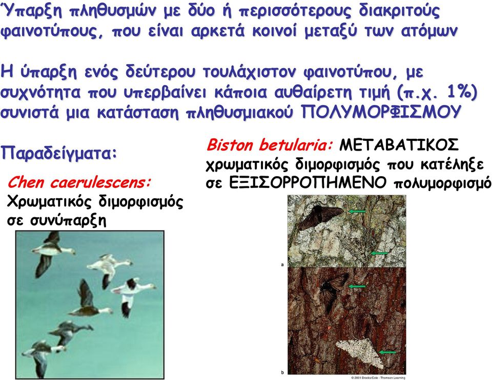 στον φαινοτύπου, με συχν