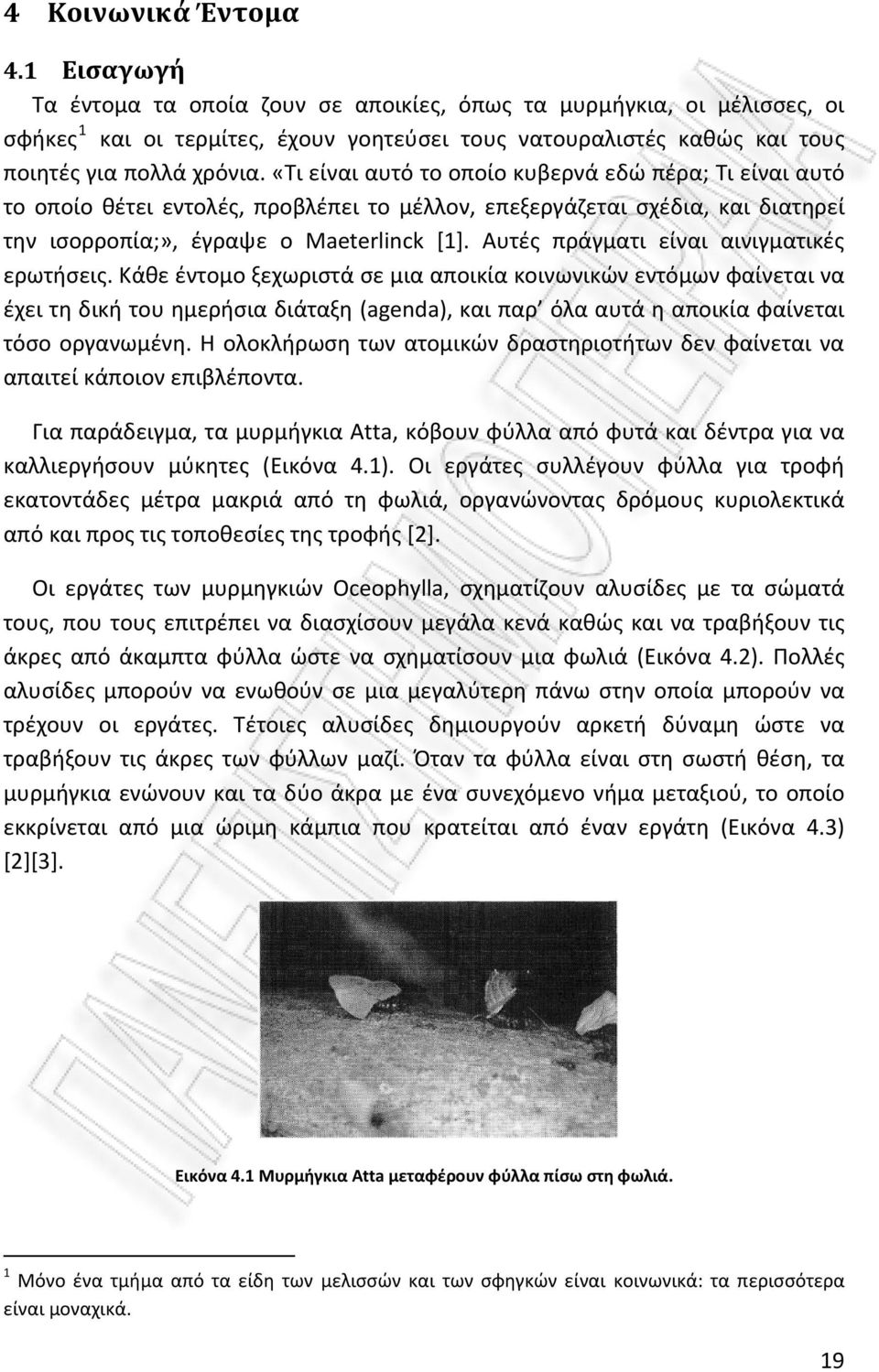 «Τι είναι αυτό το οποίο κυβερνά εδώ πέρα; Τι είναι αυτό το οποίο θέτει εντολές, προβλέπει το μέλλον, επεξεργάζεται σχέδια, και διατηρεί την ισορροπία;», έγραψε ο Maeterlinck [1].