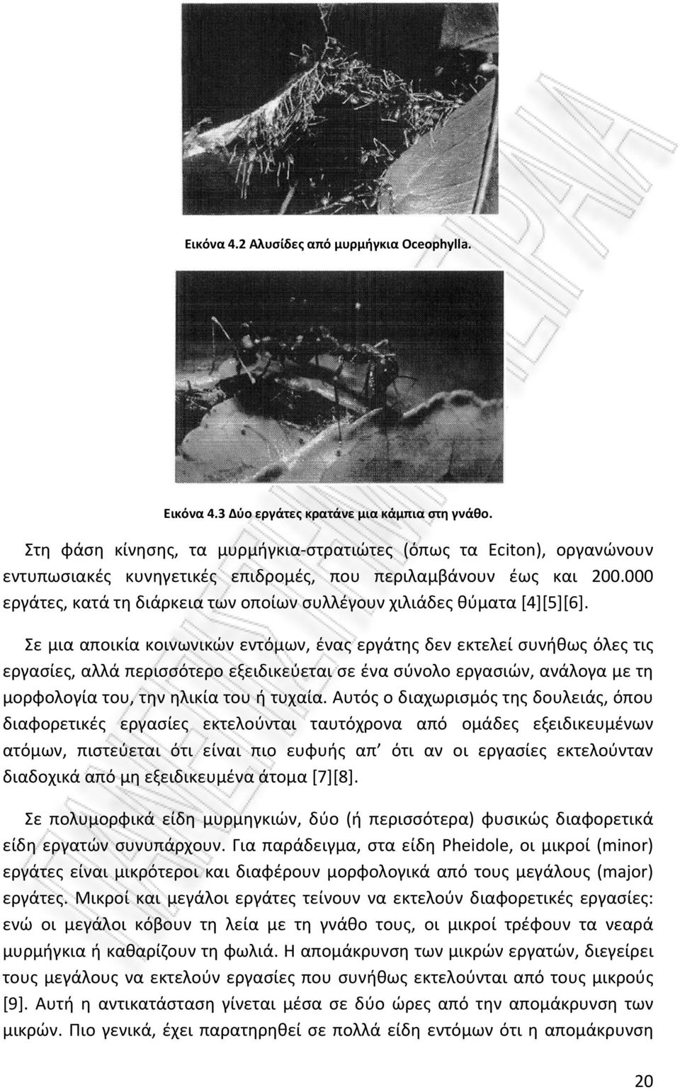 000 εργάτες, κατά τη διάρκεια των οποίων συλλέγουν χιλιάδες θύματα [4][5][6].