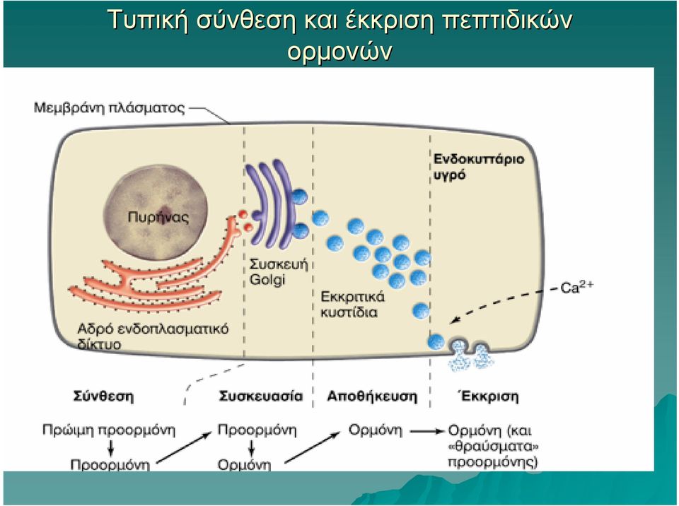 έκκριση