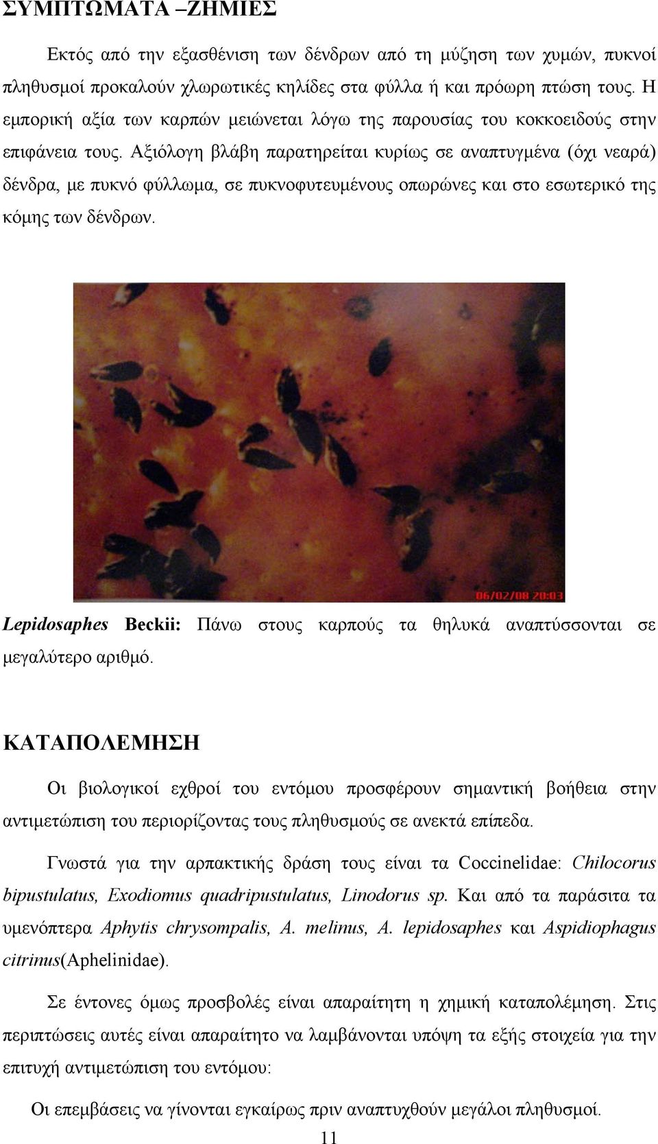 Αξιόλογη βλάβη παρατηρείται κυρίως σε αναπτυγμένα (όχι νεαρά) δένδρα, με πυκνό φύλλωμα, σε πυκνοφυτευμένους οπωρώνες και στο εσωτερικό της κόμης των δένδρων.