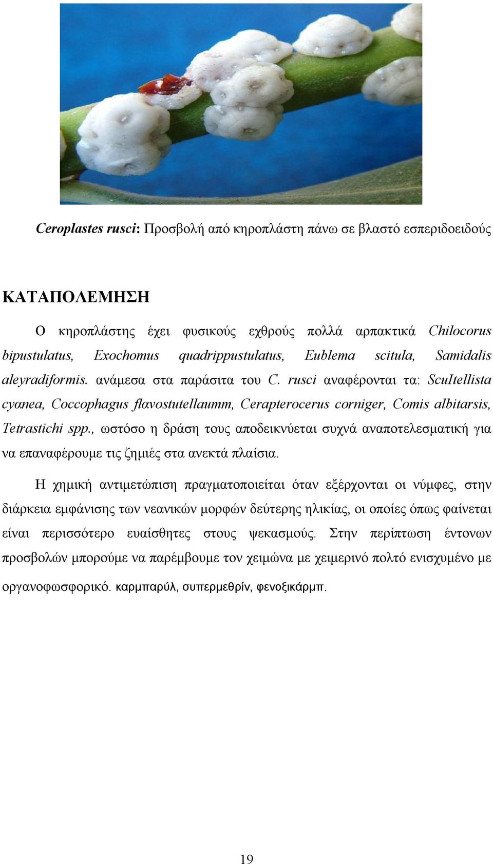 , ωστόσο η δράση τους αποδεικνύεται συχνά αναποτελεσματική για να επαναφέρουμε τις ζημιές στα ανεκτά πλαίσια.