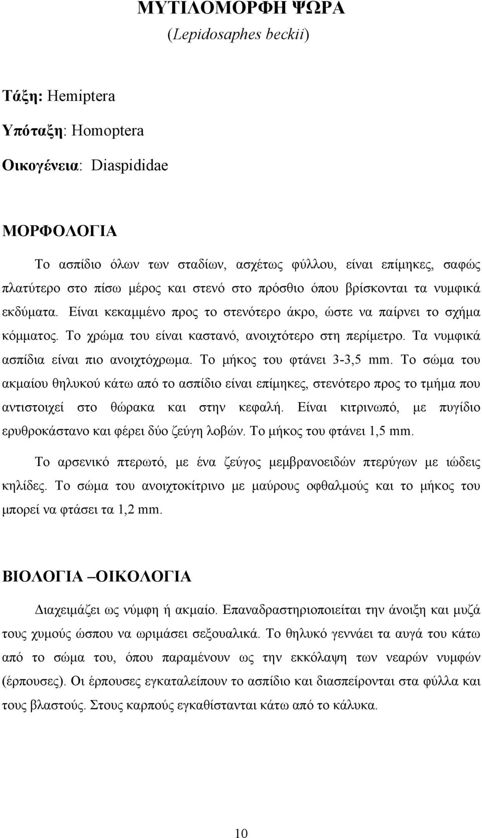 Τα νυμφικά ασπίδια είναι πιο ανοιχτόχρωμα. Το μήκος του φτάνει 3-3,5 mm.