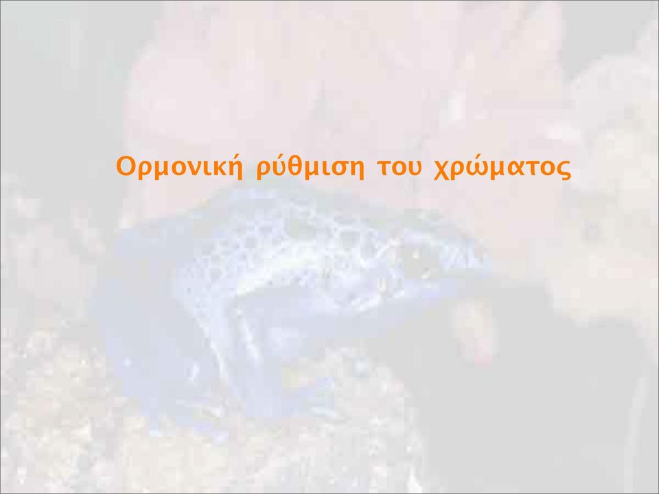 του